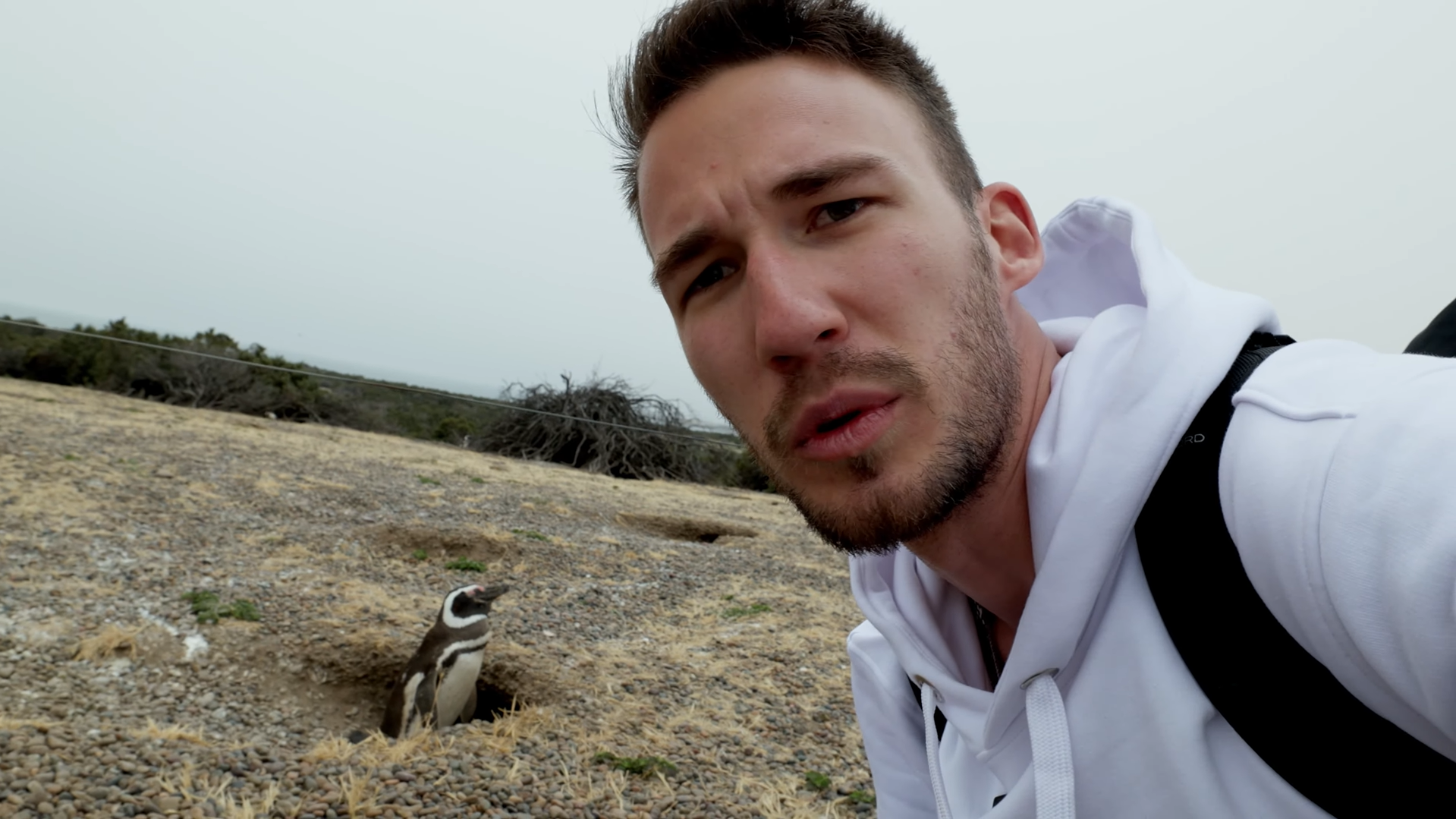 Krisztian with a Magellanic penguin during his South American cruise