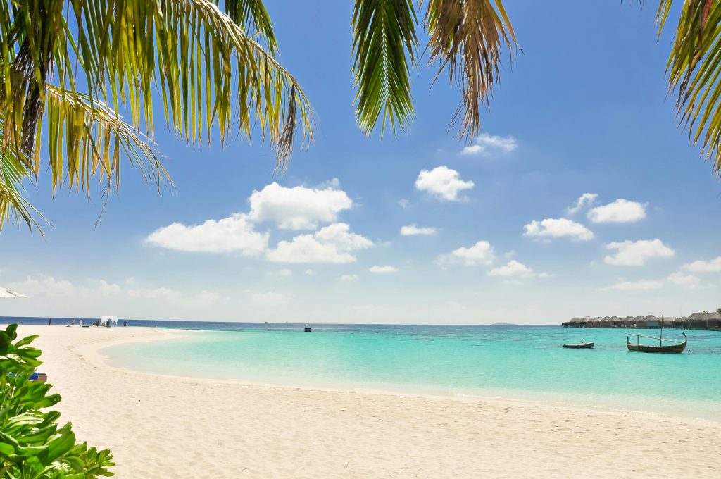 Serene beach with turquoise waters, white sand, and palm trees under a sunny sky, perfect for relaxation.